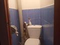 1-бөлмелі пәтер · 31.1 м² · 5/5 қабат, Камзина 59, бағасы: 6.5 млн ₸ в Аксу — фото 3