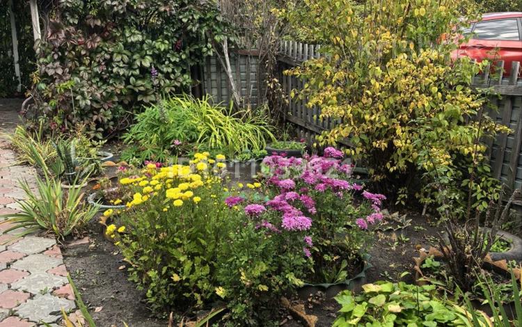 Дача · 1 комната · 20 м² · 10 сот., 15 — Мамлютская трасса за 2.2 млн 〒 в Петропавловске — фото 2