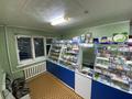 Медцентры и аптеки · 80 м² за 12 млн ₸ в Топаре — фото 10