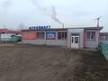 Магазины и бутики · 1137.9 м² за 90 млн ₸ в Щучинске