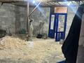 Отдельный дом · 17 комнат · 300 м² · 8 сот., Коянкус за 60 млн ₸ в Алматы — фото 23