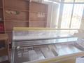 Свободное назначение, магазины и бутики, склады, общепит · 250 м² за 700 000 〒 в Талдыкоргане — фото 11