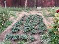 Жеке үй · 5 бөлме · 130 м² · 6 жүзд., Тохтарова, бағасы: 51 млн ₸ в Кызылкайрат — фото 25