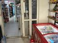 Дүкендер мен бутиктер · 100 м², бағасы: 75 млн ₸ в Алматы, Наурызбайский р-н — фото 2