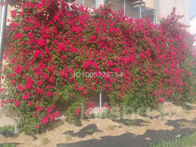 1-бөлмелі пәтер · 23 м² · 2/2 қабат, 11-й квартал 112 Д, бағасы: 130 000 ₸ в Алматы