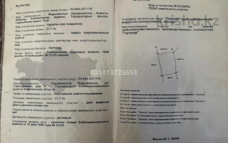 Участок · 31.1 га, Рахымбаева 5 за 31.1 млн ₸ в  — фото 2
