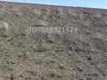 Участок · 50 соток, Вдоль трассы — Вдоль трассы за 13 млн ₸ в Чундже — фото 6