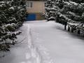 Жеке үй · 3 бөлме · 108 м² · 25 жүзд., Заречная 20, бағасы: 21 млн ₸ в Черемшанке — фото 2