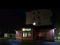 Действующий бизнес · 200 м² за 130 млн ₸ в Экибастузе