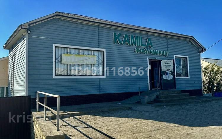 Отдельный дом · 4 комнаты · 180 м² · 8 сот., Габбас саркытов 5 — Камила магазин за 33 млн ₸ в Кульсары — фото 2