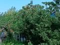 Саяжай · 2 бөлме · 12 м² · 6 жүзд., Сад Южный,ул Сиреневая 41 — На кольце в сторону аэропорта, бағасы: 700 000 ₸ в Павлодаре — фото 6