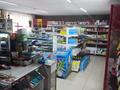 Магазин, 80 м² за 37 млн 〒 в Талгаре — фото 5