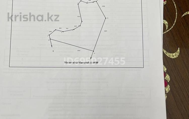 Участок · 5 га, Междуреченск за 75 млн 〒 — фото 2