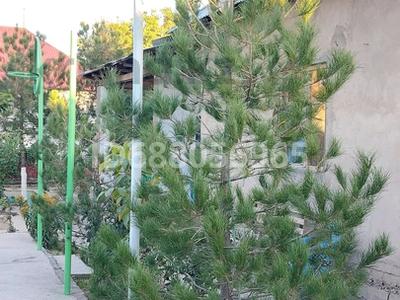 Дача · 4 комнаты · 126 м² · 5 сот., Транспортная 28 — Рядом с Центральной улицей за 26 млн 〒 в Кайнарбулаке