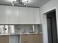 2-комнатная квартира · 45 м² · 8/9 этаж, Е 511 40 — Улы Дала за 250 000 ₸ в Астане, Есильский р-н — фото 4