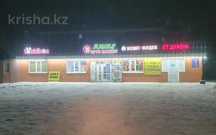 Отдельный дом · 9 комнат · 385 м² · 10 сот., Мукагали Макатаева 21 — На против маг Самурык за 70 млн 〒 в Караоткеле — фото 2