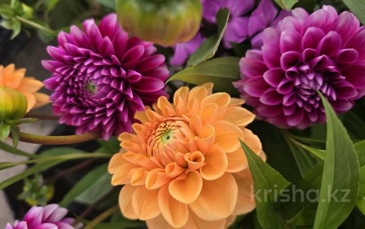 Дача · 2 комнаты · 25 м² · 6 сот., 1дачная — Orman vilage за 6.5 млн 〒 в Петропавловске — фото 2