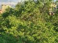 3-комнатная квартира · 61 м² · 4/4 этаж, Радостовца 199 — Тимирязева Розыбакиева за 37.5 млн ₸ в Алматы, Бостандыкский р-н — фото 16