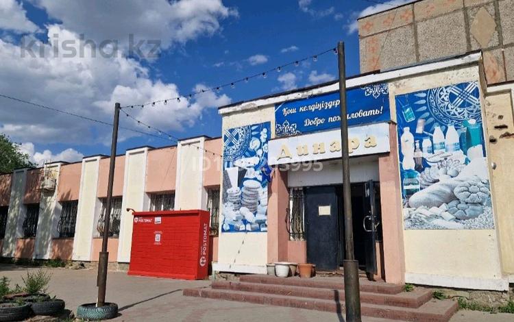 Свободное назначение, магазины и бутики, общепит · 1400 м² за 330 млн ₸ в Темиртау — фото 14