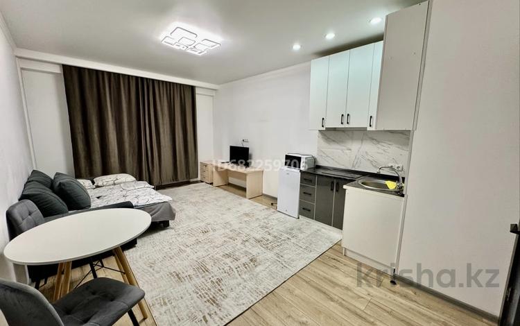 1-бөлмелі пәтер · 30 м² · 2/10 қабат, Сейфуллина 51/29, бағасы: 12 000 ₸ в Алматы, Турксибский р-н — фото 23