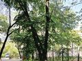 4-комнатная квартира · 96 м² · 2/5 этаж, Наурызбай батыра — Абая за 100 млн ₸ в Алматы, Алмалинский р-н — фото 42