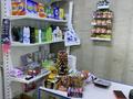 Свободное назначение, магазины и бутики · 41 м² за 260 000 ₸ в Астане, Сарыарка р-н — фото 12