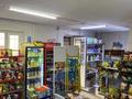 Свободное назначение, магазины и бутики · 41 м² за 260 000 ₸ в Астане, Сарыарка р-н — фото 6