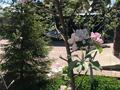 Жеке үй · 6 бөлме · 220 м² · 10 жүзд., Вивальди 14 — 20 микр, бағасы: 80 млн ₸ в Конаеве — фото 14