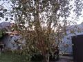 Жеке үй · 5 бөлме · 185 м² · 8 сот., Носикова, бағасы: 85 млн ₸ в Усть-Каменогорске — фото 68