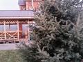Жеке үй · 5 бөлме · 185 м² · 8 сот., Носикова, бағасы: 85 млн ₸ в Усть-Каменогорске — фото 72