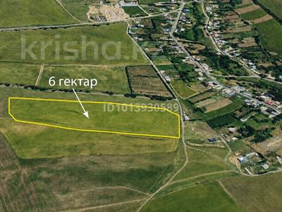 Жер телімі · 6 га, Момынай, бағасы: 5 млн ₸ в Туркестанской обл.