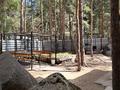 Жеке үй · 4 бөлме · 160 м², Санатория Алмаз, бағасы: 150 000 ₸ в Бурабае — фото 5