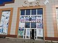 Еркін · 1200 м², бағасы: 380 млн ₸ в Щучинске