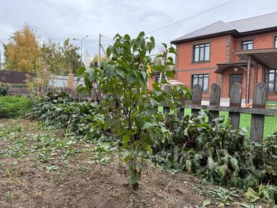 Отдельный дом · 6 комнат · 313.2 м² · 19.47 сот., Жайсан 1А за 218 млн 〒 в Астане, Есильский р-н