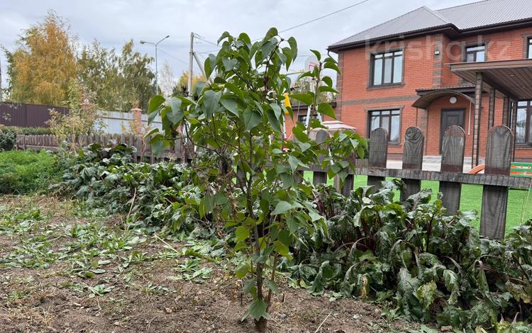 Отдельный дом · 6 комнат · 313.2 м² · 19.47 сот., Жайсан 1А за 185 млн 〒 в Астане, Есильский р-н — фото 49