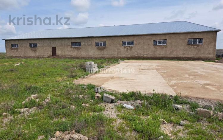 Промбаза · 1000 га, 50 50 — С. Акбулак, Ордабасынский район, Туркестанская область за 700 000 ₸ в Шымкенте — фото 2