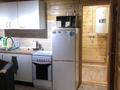 Дом · 5 комнат · 100 м², Гора Мохнатка за 25 000 ₸ в Новой бухтарме — фото 18