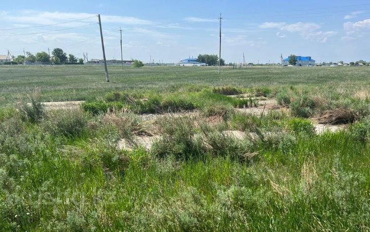 Жер телімі · 0.0995 га, Обаған, бағасы: 1.2 млн ₸ в  — фото 2
