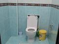 Отдельный дом · 7 комнат · 229.8 м² · 10 сот., Ырғыз 47 за 75 млн ₸ в Актобе, мкр. Курмыш — фото 15