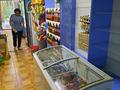 Магазины и бутики • 52 м² за 18.7 млн 〒 в Таразе — фото 6