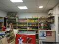 Дүкендер мен бутиктер · 38 м², бағасы: 10 млн ₸ в Киевке — фото 2