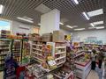 Магазины и бутики · 123 м² за 116 млн 〒 в Астане, Алматы р-н — фото 21