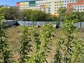 Участок · 7 соток, Куанышева 116 — Блока за 35 млн ₸ в Кокшетау — фото 3