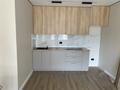 1-бөлмелі пәтер · 42.5 м² · 13/14 қабат, мкр Шымсити 25/1, бағасы: 25 млн ₸ в Шымкенте, Абайский р-н — фото 13