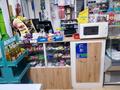 Магазины и бутики · 57 м² за 150 000 ₸ в Астане, Алматы р-н — фото 6