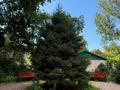 2-комнатная квартира · 56 м² · 6/14 этаж, мкр Самал-1 за 58.5 млн ₸ в Алматы, Медеуский р-н — фото 17