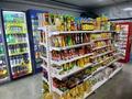 Готовый бизнес · 70 м², бағасы: 13 млн ₸ в Астане, Есильский р-н — фото 10