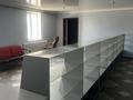 Жеке үй · 8 бөлме · 375 м² · 7.5 жүзд., Журба 50В, бағасы: 135 млн ₸ в  — фото 56