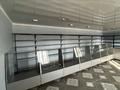 Жеке үй · 8 бөлме · 375 м² · 7.5 жүзд., Журба 50В, бағасы: 135 млн ₸ в  — фото 57