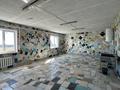 Еркін, қоғамдық тамақтану орны, ауыл шаруашылығы · 600 м², бағасы: 110 млн ₸ в Самарском — фото 20